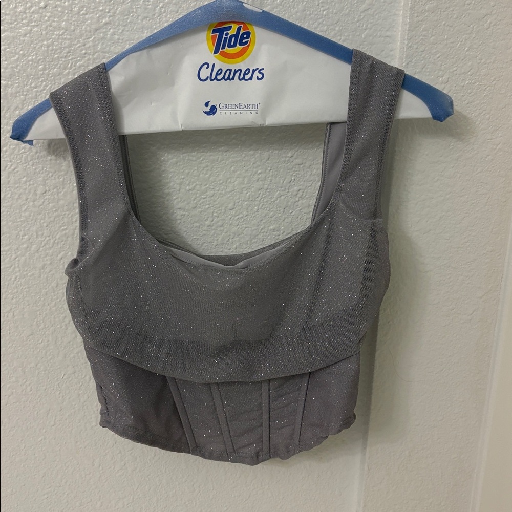 Windsor Glittery Gray Crop Top